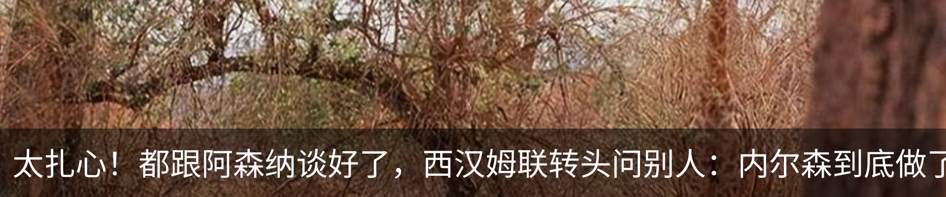 热点资讯